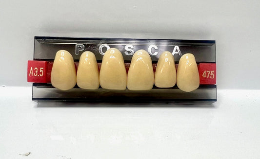 Posca Premium Acrylic Teeth A3.5