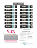 Mould Guide for Posca Teeth