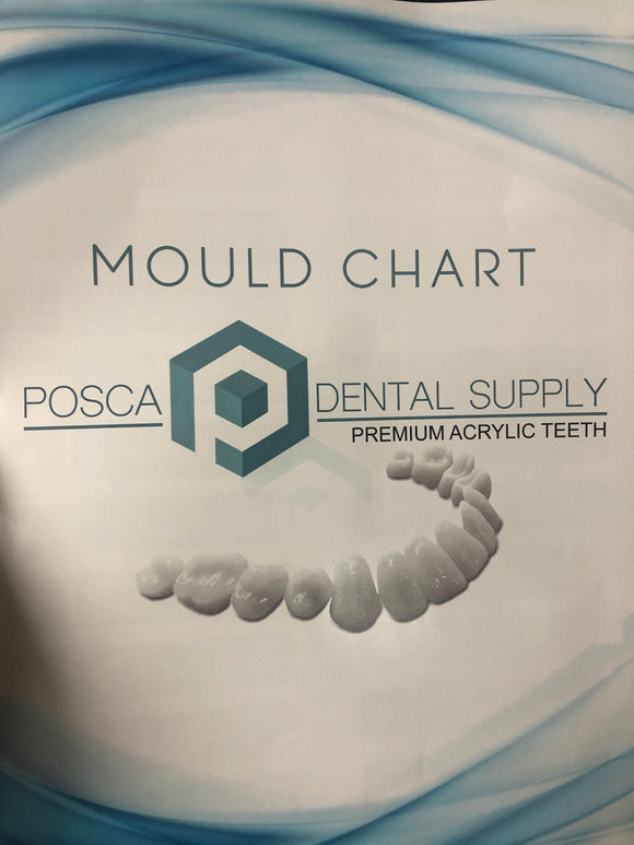 Posca Premium Acrylic Teeth A3 Anteriors & Posteriors